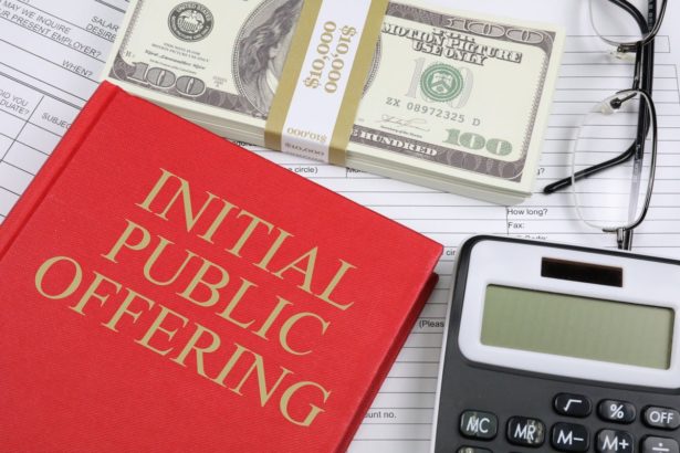 IPO initial public offering