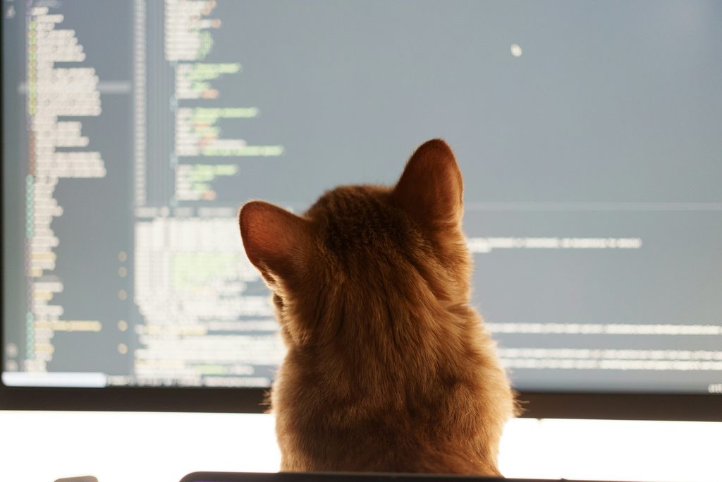 vibe coding